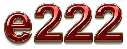 e222 logo